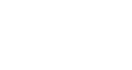 the Pinkの会社情報
